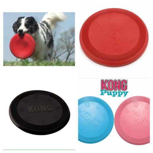 kong puppy flyer frisbee